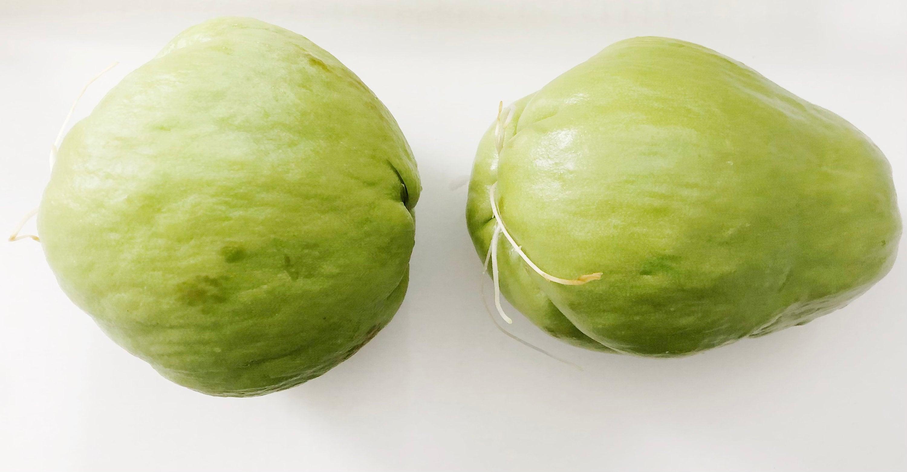 Chayote Germinado, Choko, Chocho, Pera Vegetal, Mirliton - Etsy México