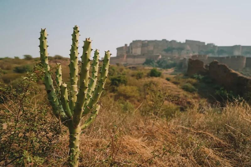 was man in Jodhpur machen kann
