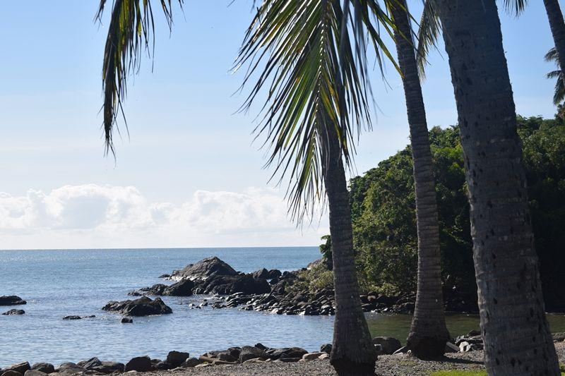 was man in Cairns machen kann