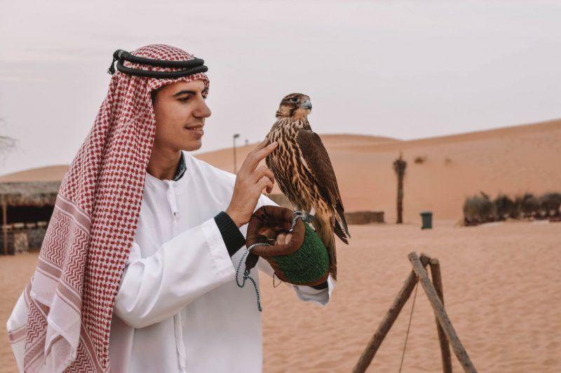 cosa fare ad Abu Dhabi