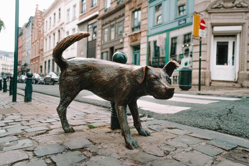 cosa fare a Bruxelles