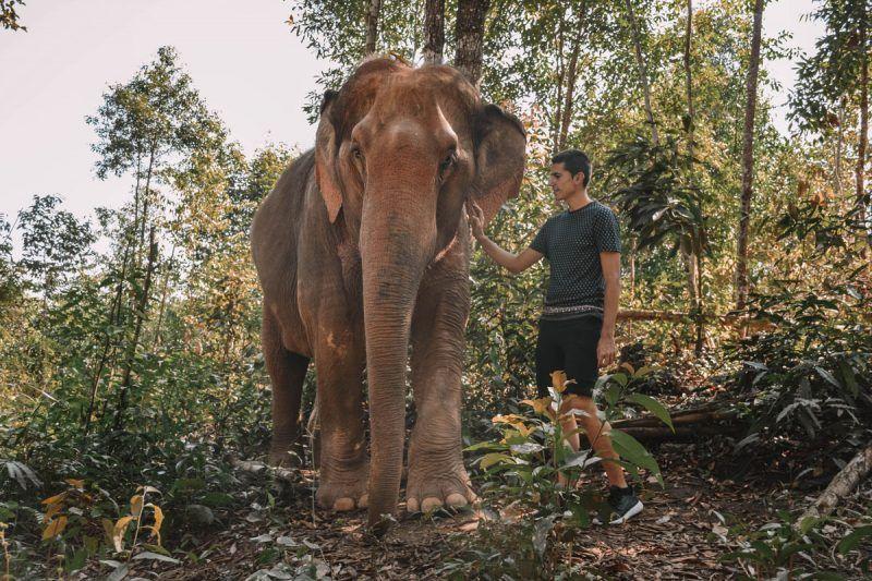 Elephant Nature Park