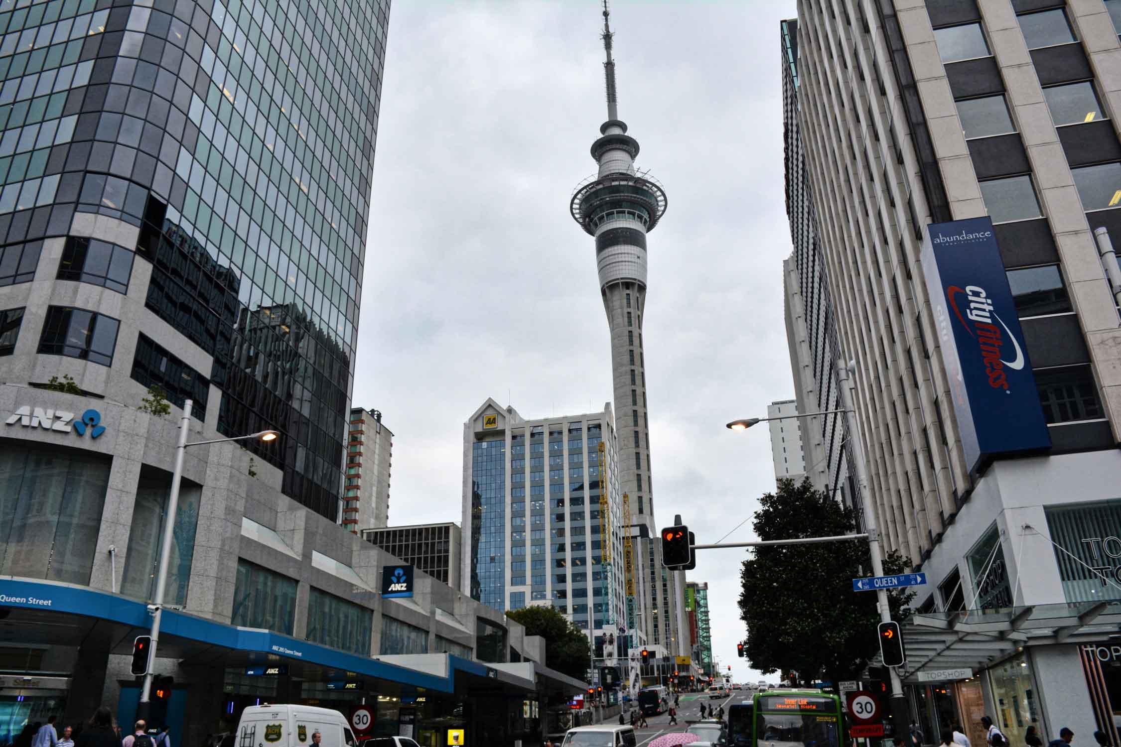 was man in Auckland unternehmen kann