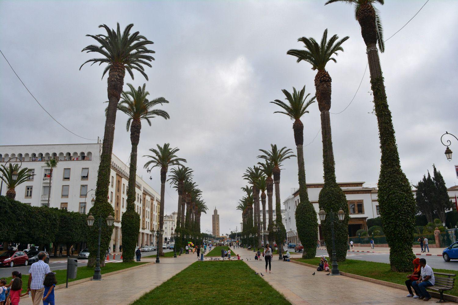 avenue Mohammed V