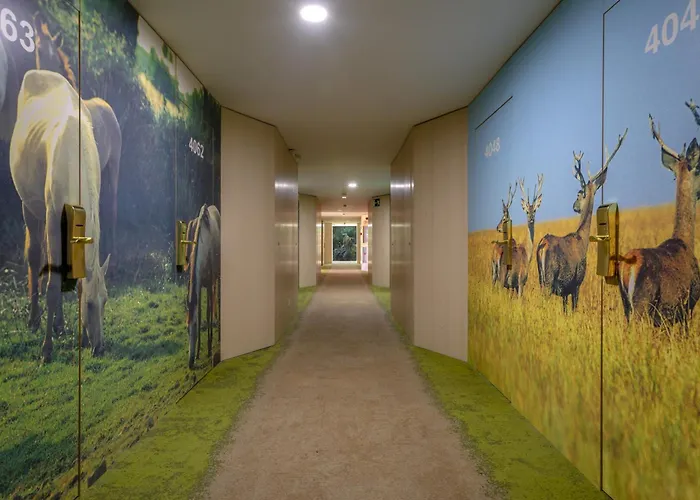 Mejores hoteles en Matalascañas